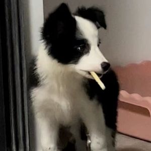 打破（Prod by Ounce_X）