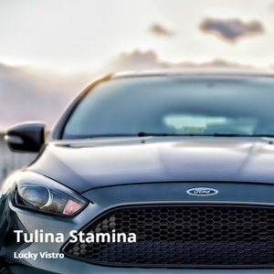 Tulina Stamina