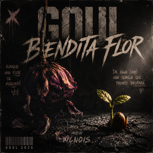 Bendita Flor