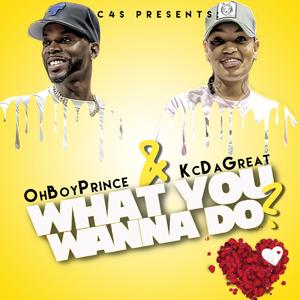 What You Wanna Do (feat. ohboyprince)