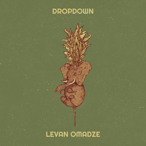 DropDown