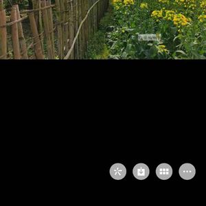 无忧无虑的时光 伴奏