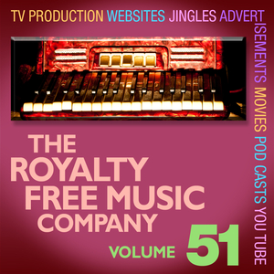 Wheelchair Traveller 6