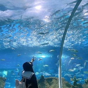 雨爱（说唱版）