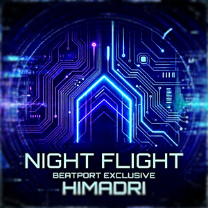 Night Flight (N.Y.B. Dub Mix)