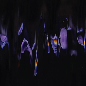 Not What You Expected