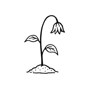 Незыблемого нет