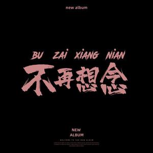 不再想念