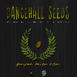 Dancehall Seeds Collection