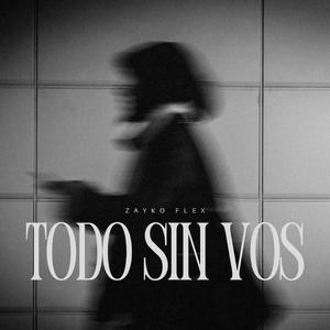 Todo Sin Vos