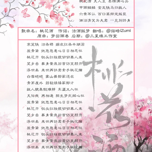 《桃花酒》（长篇小说《浮世矣》同人粉丝歌曲）
