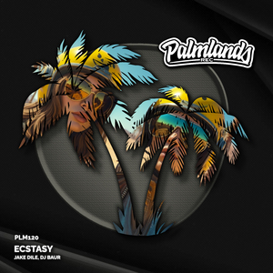 Ecstasy (Extended Mix)