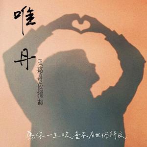 朴树-唯丹（cover清白之年）（DC remix）