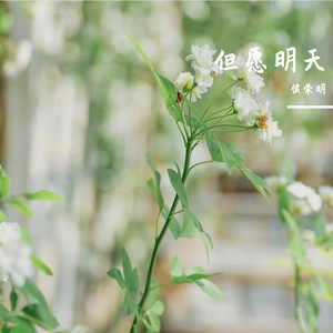 但愿明天PROD BY CARIO