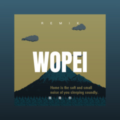 今夜喝醉谁来陪 (DJ版)