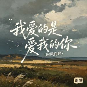 我爱的是爱我的你 (向风而野)