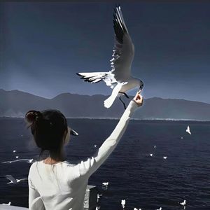 我只相信金钱铺路