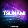 L.B. One - Tsunami (Mad Raf & Tom Zenith Remix)