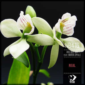 Real (Original Mix)
