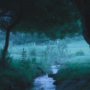 chasing the river