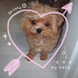 도그라이프!(Thog Life!) (prod. Jocief)