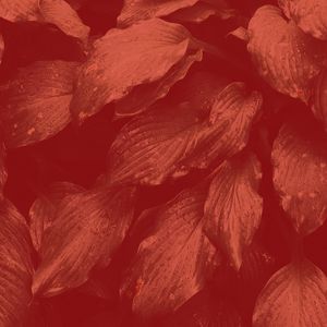 微妙的放松心情