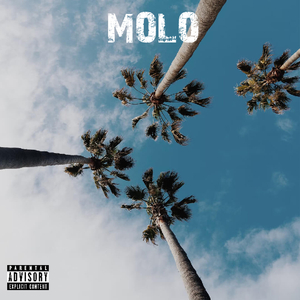 Molo