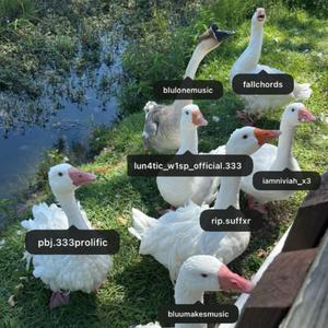 Goose Cypher 2 (feat. bluu!, SUFFXR, Jonniboy1, Lun4tic W1sp, fallchords, Niviah & Blulone)