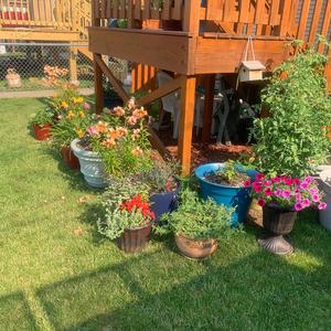 Cookout (feat. Gayun Cannon & Da Choir)