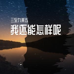 我还能怎样呢