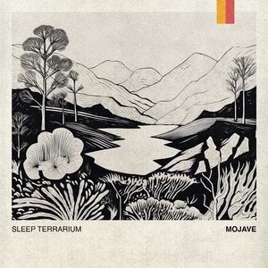 Mojave (Sleep)
