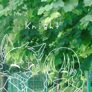 Mr.Knight