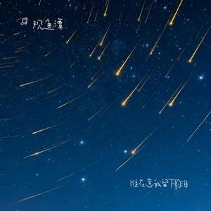 谁在意我留下的泪 (Cover 蒋雪儿)