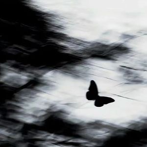 " 夜 " - 三火flame x " 白桃花 " Type Beat