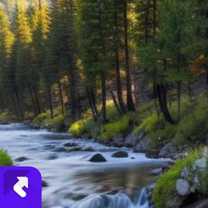 看不惯我的人很多 (现场)