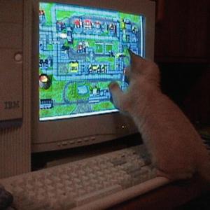 internet rockk