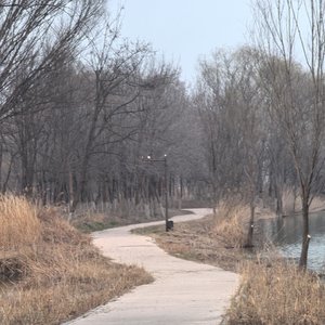 我讨厌这样没出息的自己