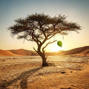 Move your body (oh-Eh-oh)