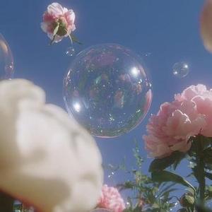 粉红泡泡