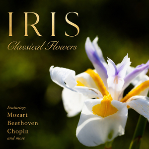 12 Etudes, Op. 25: No. 11 in A Minor "Winter Wind"