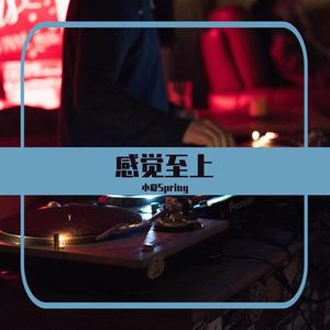 浮夸先森-傻女 李紫婷/黄凯芹（小夏Spring remix）