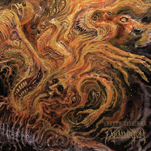 Sollvm Ipsa Mor o la Voraz Antítesis del Cosmos