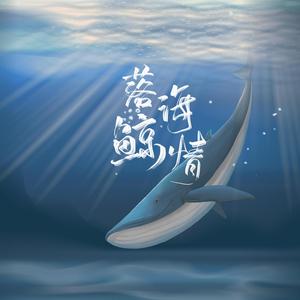 落海鲸情