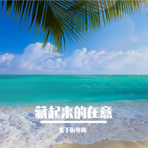 藏起来的在意