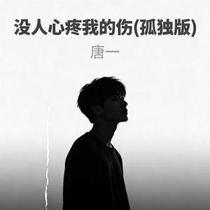 没人心疼我的伤