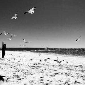 oh,..., so this is it.