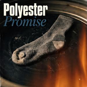 Polyester Promise