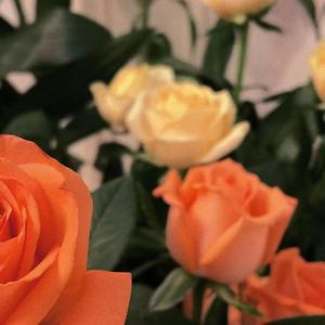 崩（Prod by.BorderWalker)