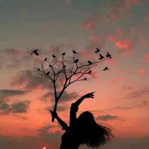 先说谎的人(最终版)