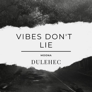 Vibes Don't Lie